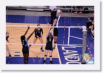 Set 2 * (260 Slides)